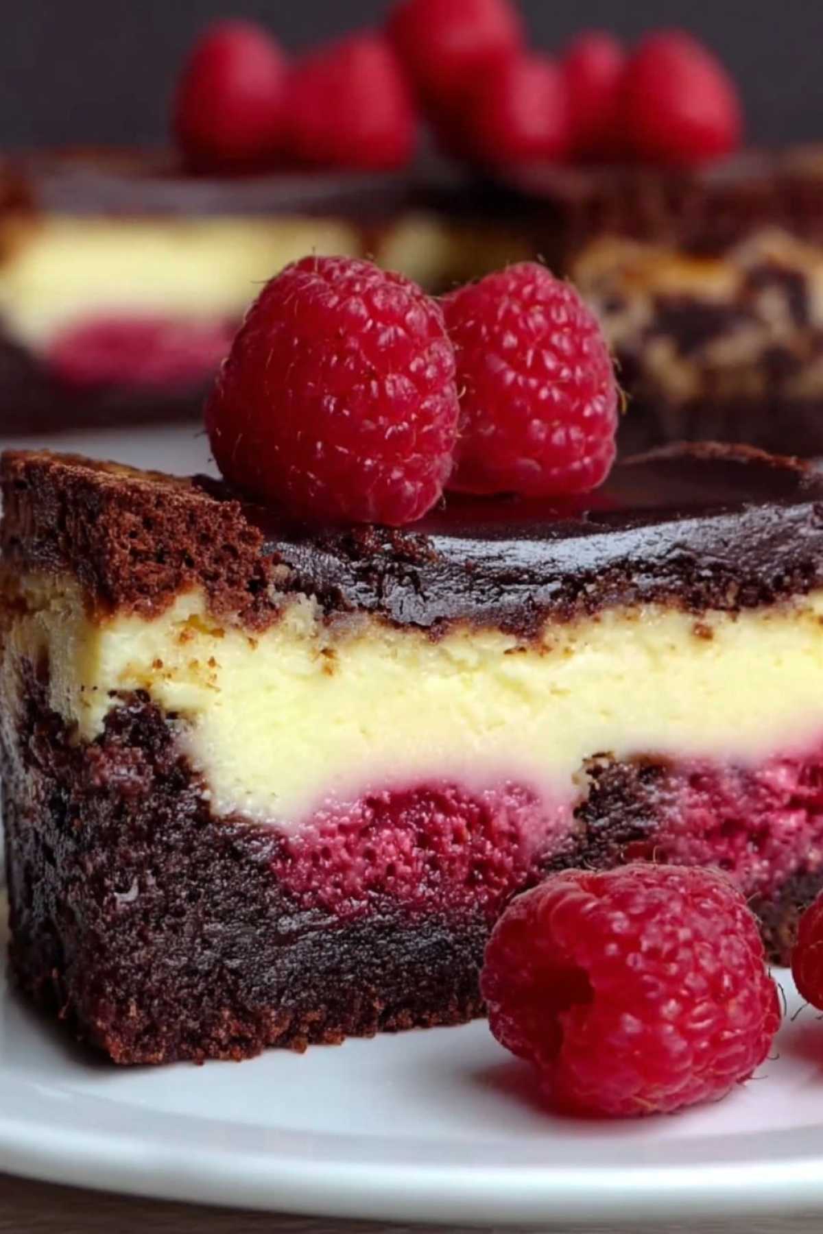Ganzer Himbeer-Brownie-Cheesecake mit frischen Himbeeren auf weißer Tortenplatte dekoriert